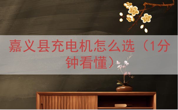 嘉义县充电机怎么选（1分钟看懂）